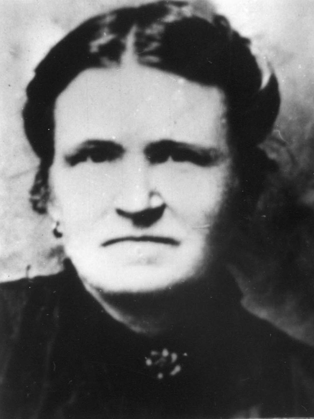Annie Elizabeth Wilkey (1853 - 1937) Profile